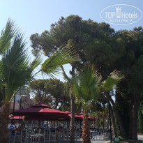 фото из отзыва ID 2009329