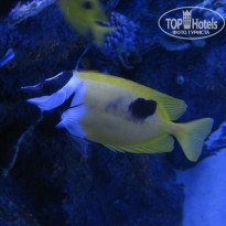 фото из отзыва ID 2009354