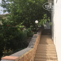 фото из отзыва ID 2009364