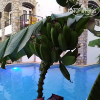 фото из отзыва ID 2009513