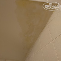 фото из отзыва ID 2009430