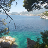 фото из отзыва ID 2009553