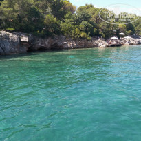 фото из отзыва ID 2009553