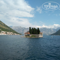 фото из отзыва ID 2009553