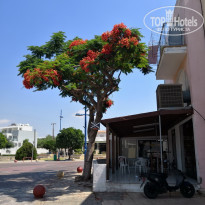 фото из отзыва ID 2009574