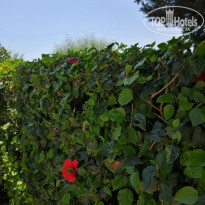 фото из отзыва ID 2009574