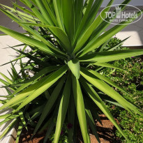 фото из отзыва ID 2009574