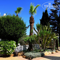 фото из отзыва ID 2009574