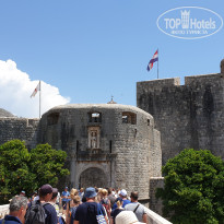 фото из отзыва ID 2009375