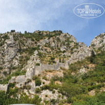 фото из отзыва ID 2009375