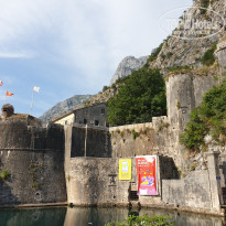 фото из отзыва ID 2009375