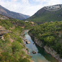 фото из отзыва ID 2009375