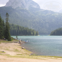 фото из отзыва ID 2009375