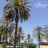 фото из отзыва ID 2009567