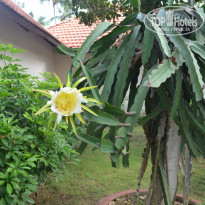 фото из отзыва ID 2009679