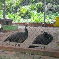 фото из отзыва ID 2009679