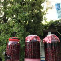 фото из отзыва ID 2009718