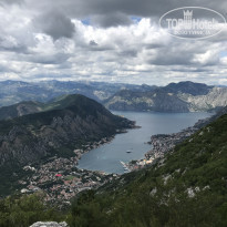 фото из отзыва ID 2009718