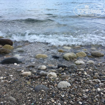 фото из отзыва ID 2009743