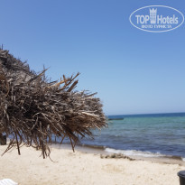 фото из отзыва ID 2001328