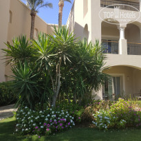 фото из отзыва ID 2009516