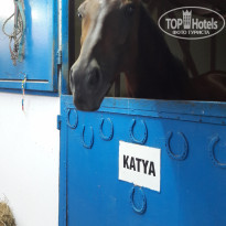 фото из отзыва ID 2009814