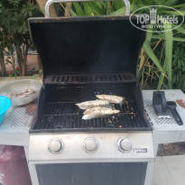 фото из отзыва ID 2009864