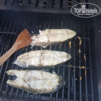 фото из отзыва ID 2009864