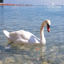 фото из отзыва ID 2009871