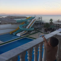 фото из отзыва ID 2009887