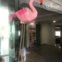 фото из отзыва ID 2009858