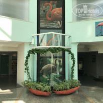 фото из отзыва ID 2009858