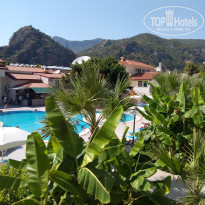 фото из отзыва ID 2009975