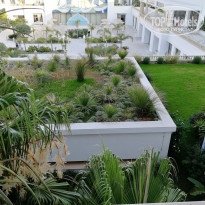 фото из отзыва ID 2009853