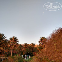 фото из отзыва ID 2009791