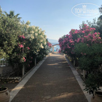 фото из отзыва ID 2009985