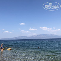 фото из отзыва ID 2009985