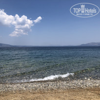 фото из отзыва ID 2009985