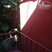 фото из отзыва ID 2008644