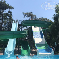 фото из отзыва ID 2005478