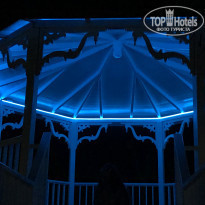 фото из отзыва ID 2009520