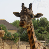 фото из отзыва ID 2000499