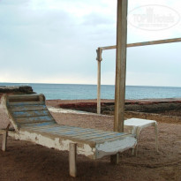 фото из отзыва ID 201450