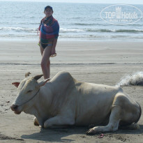 фото из отзыва ID 201625