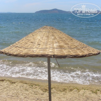 фото из отзыва ID 201820