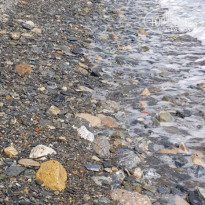 фото из отзыва ID 2010019