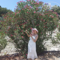 фото из отзыва ID 2010012