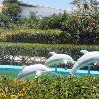 фото из отзыва ID 2010012