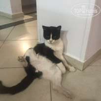 фото из отзыва ID 2010138