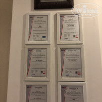 фото из отзыва ID 2010134